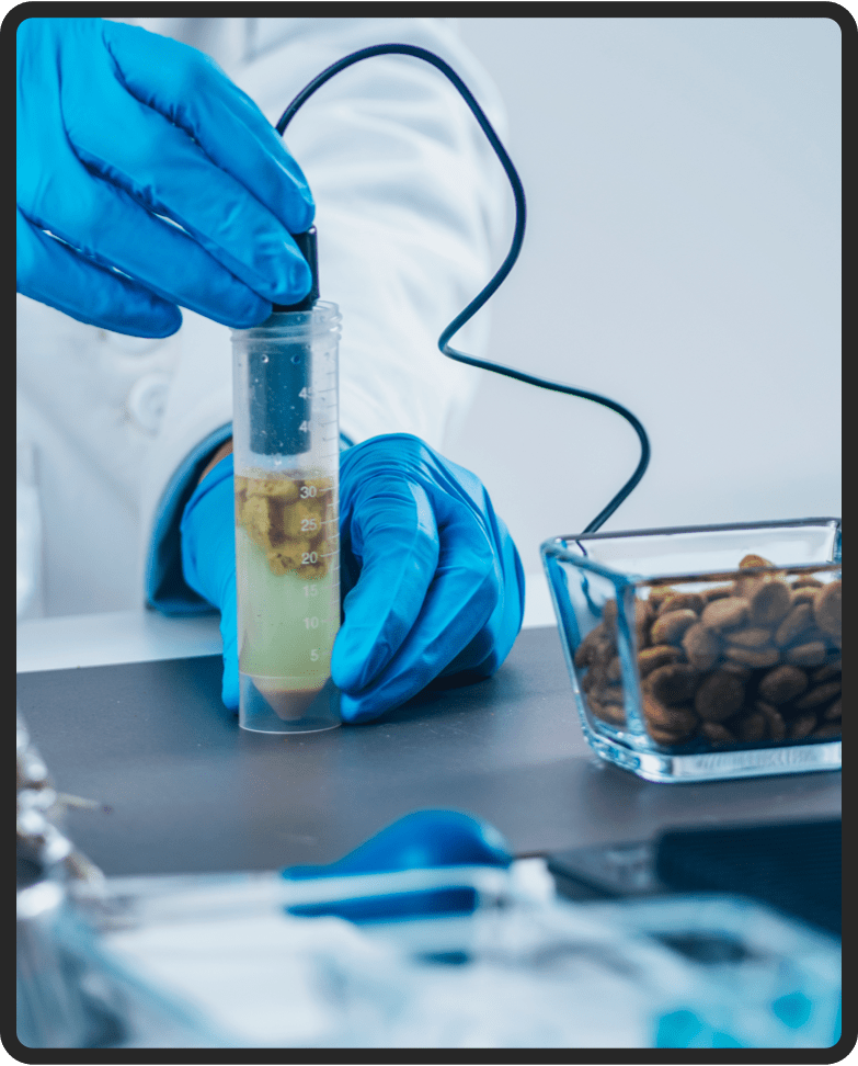 what-does-science-say-about-the-prostatep4