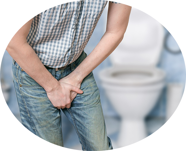 what-is-exactly-the-prostateP4